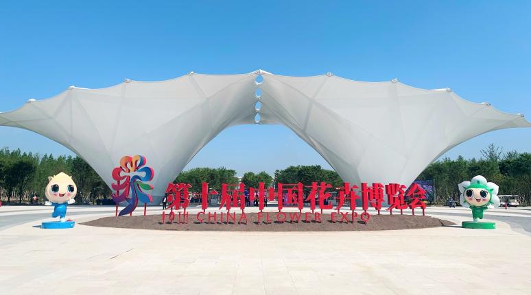 й սͨ | ΤվٷΤվٷڼͨ˾ʮйչ